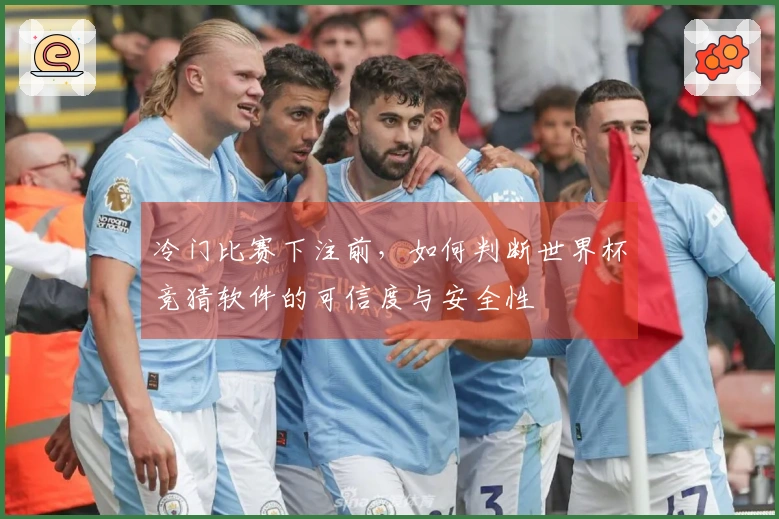 冷门比赛下注前，如何判断世界杯竞猜软件的可信度与安全性