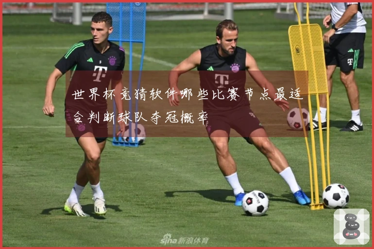 世界杯竞猜软件哪些比赛节点最适合判断球队夺冠概率